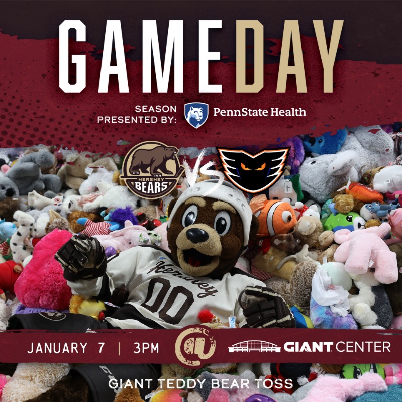 Big teddy 2024 bear at game