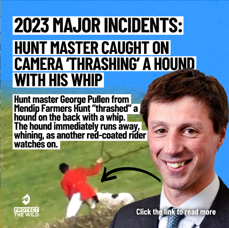 Monster. RT and expose how hunts treat their hounds! Follow @ProtectTheWild_ and help us end fox hunting for good.