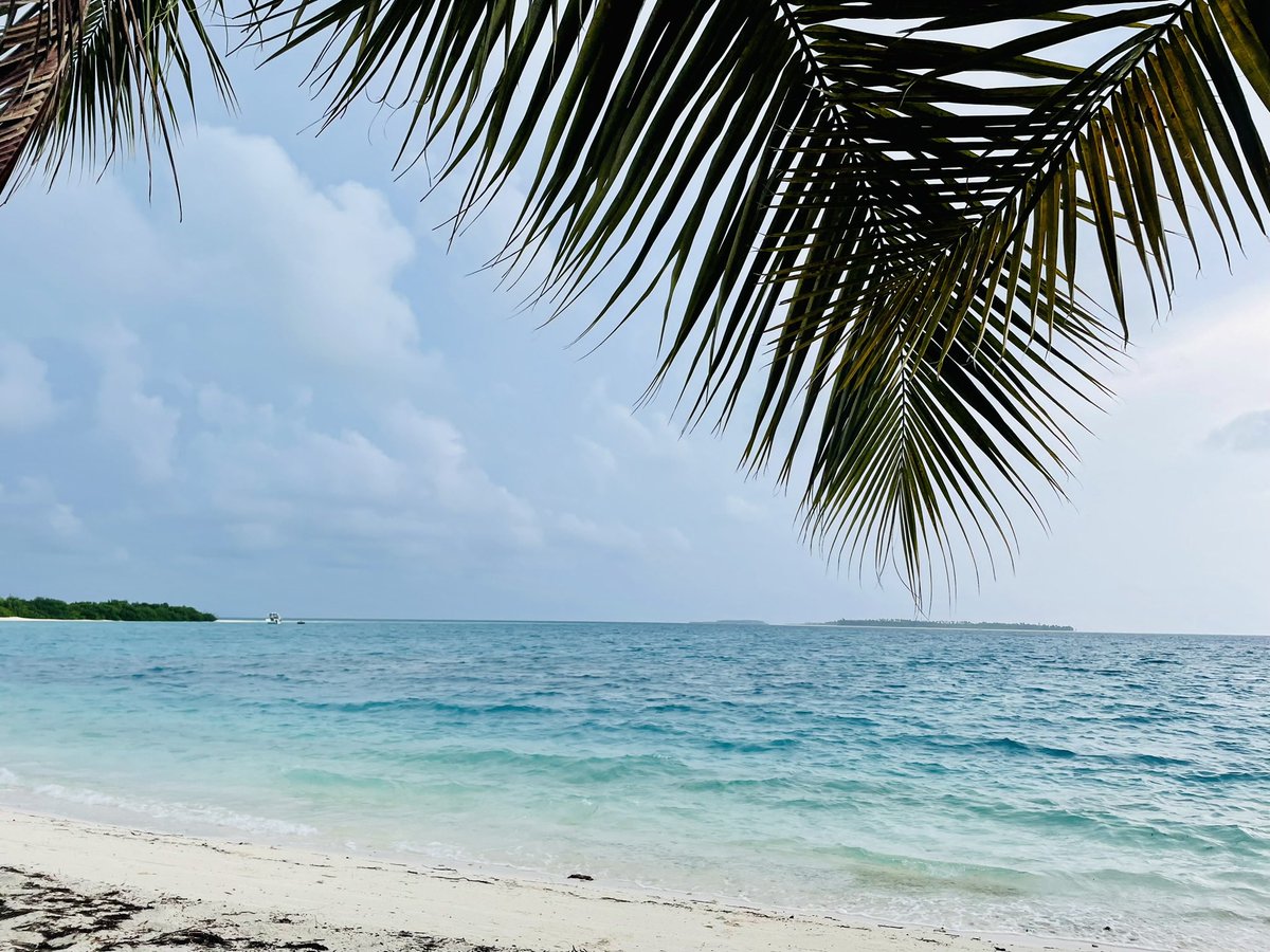 swatichand's tweet photo. @baxirahul Agatti and Bangaram beach, Lakshadweep... Nov, 2023 https://t.co/NblOzTcWIv