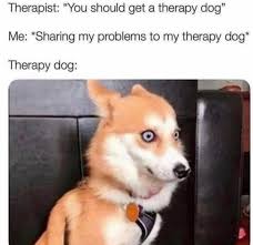 denizen_nft's tweet photo. @PokemonTetrisSD @elonmusk $PTSD https://t.co/3nijfcLfam