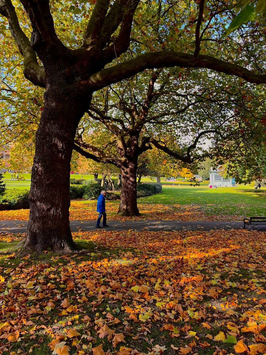 starligh✴ tweet media