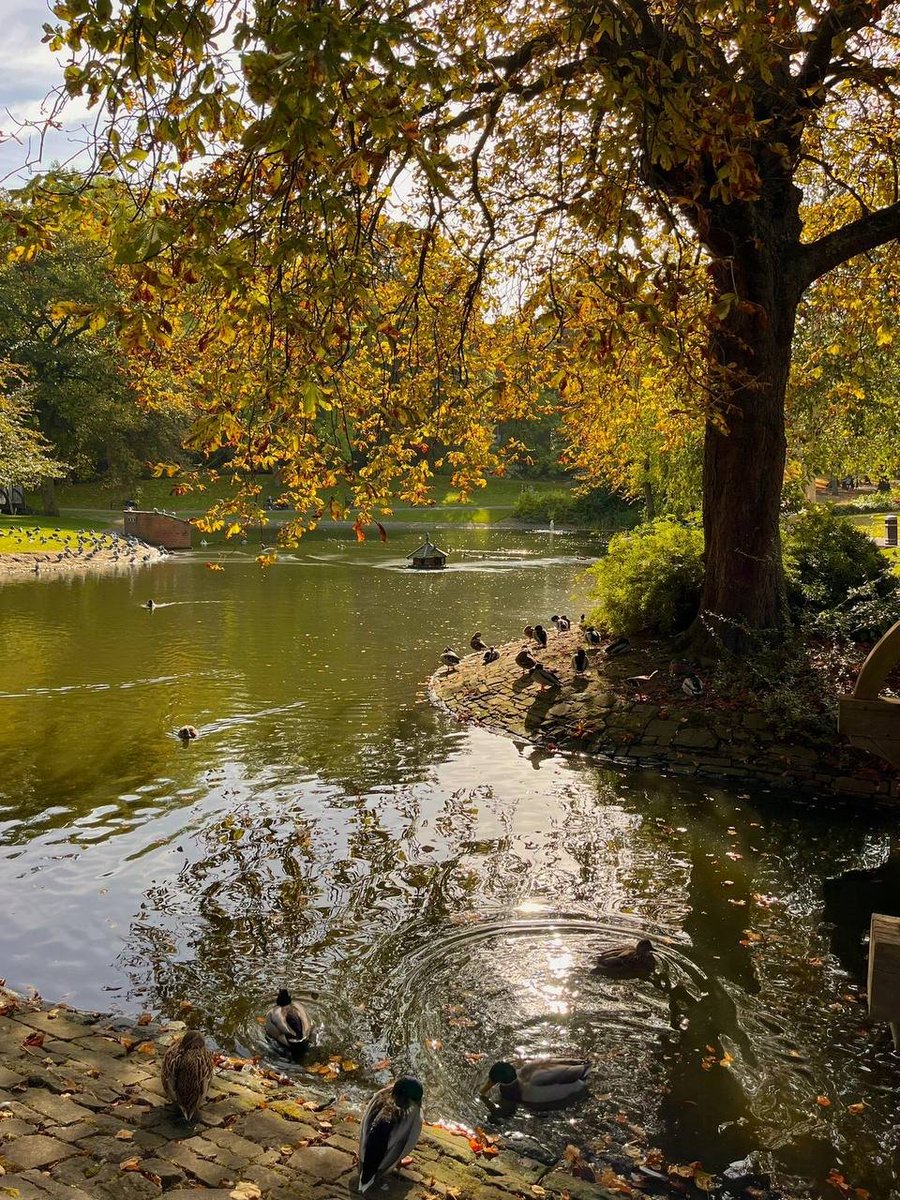 starligh✴ tweet media