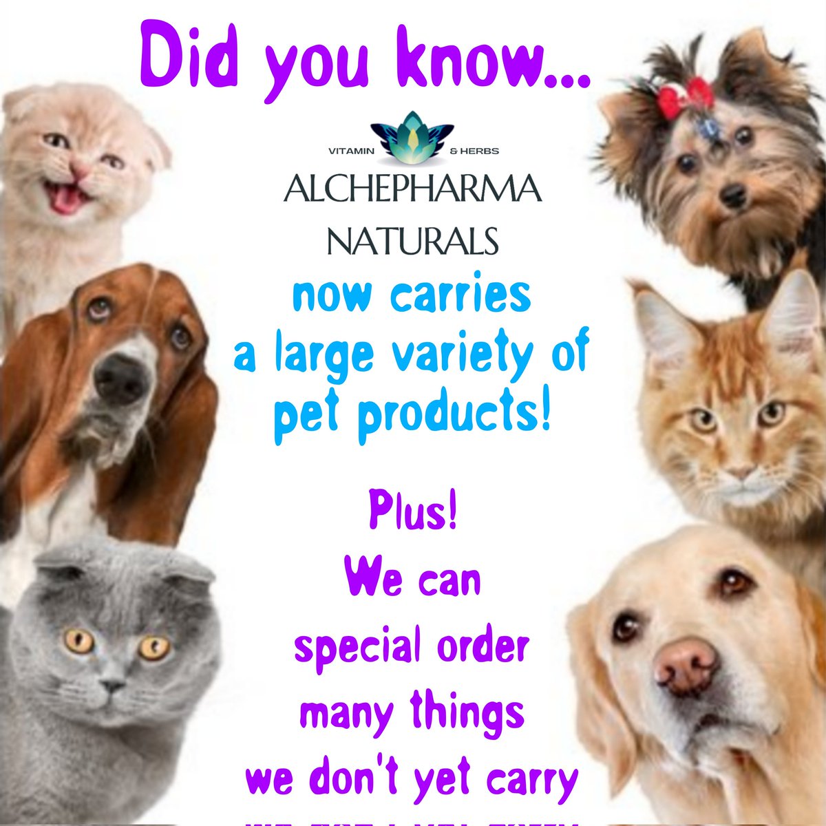Over at #AlchePharmaNaturals we've started to prioritize carrying products for our 

#HealthFoodStore #vitaminstore #supplementstore #smallbuisness #Nipomo #Orcutt #centralcoast #petcbd #dogs #petsafe #dogfood #PetSimulator99 #cats #catfood #naturalpetcare