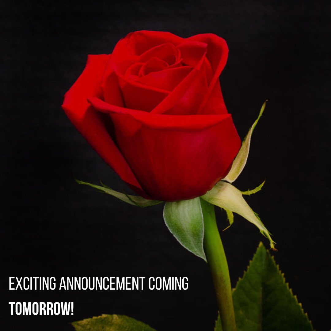 Jo McCarthy tweet media