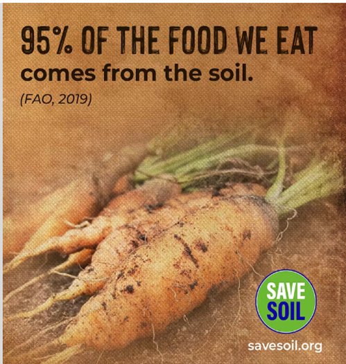 Riccard13371991's tweet photo. Il 60% della popolazione mondiale è carente di sostanze nutritive come il ferro a causa della mancanza di nutrienti negli alimenti e nei terreni. (TIME, 2012)
#soilforclimateaction #SaveSoil #SaveSoilFixClimateChange
#SoilDesertification https://t.co/szY2LcUg43