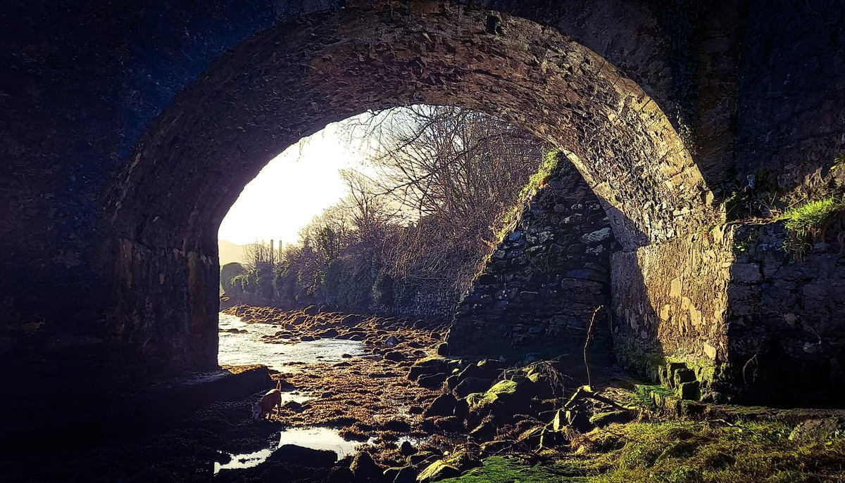 Foundation, cut water, pier, arch, abutment, embankment, buttress, wing wall.

6 arch Castle Bridge (1716) Buncrana, Co.Donegal