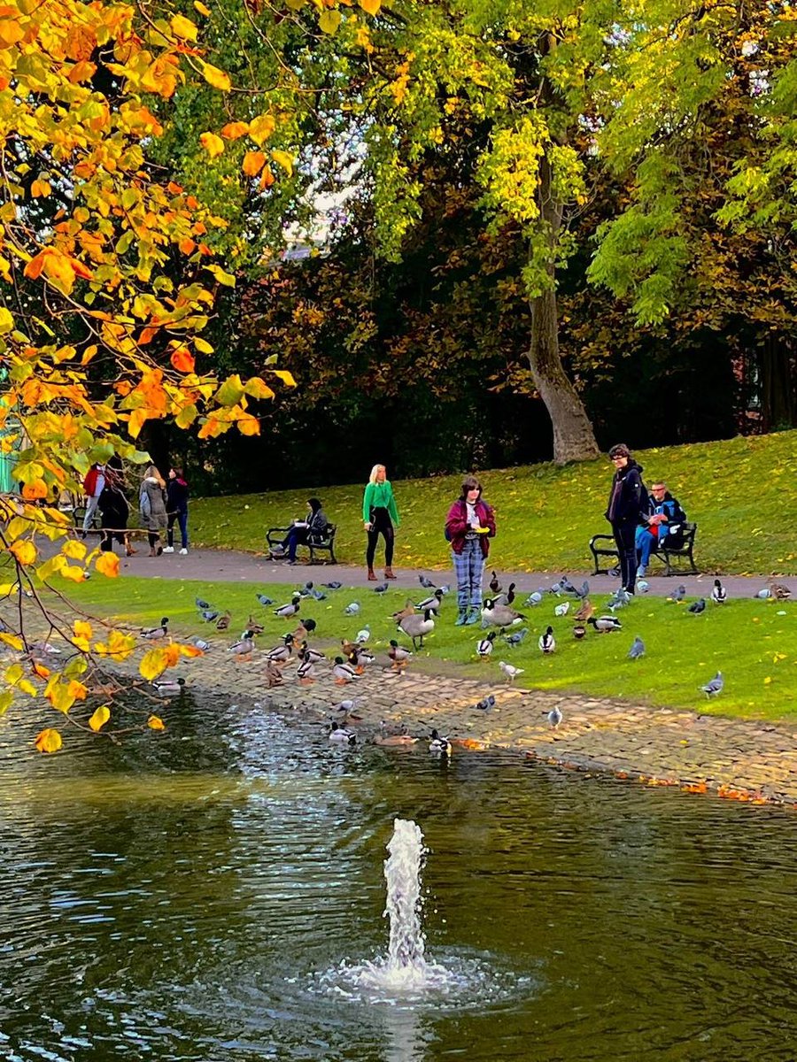 starligh✴ tweet media