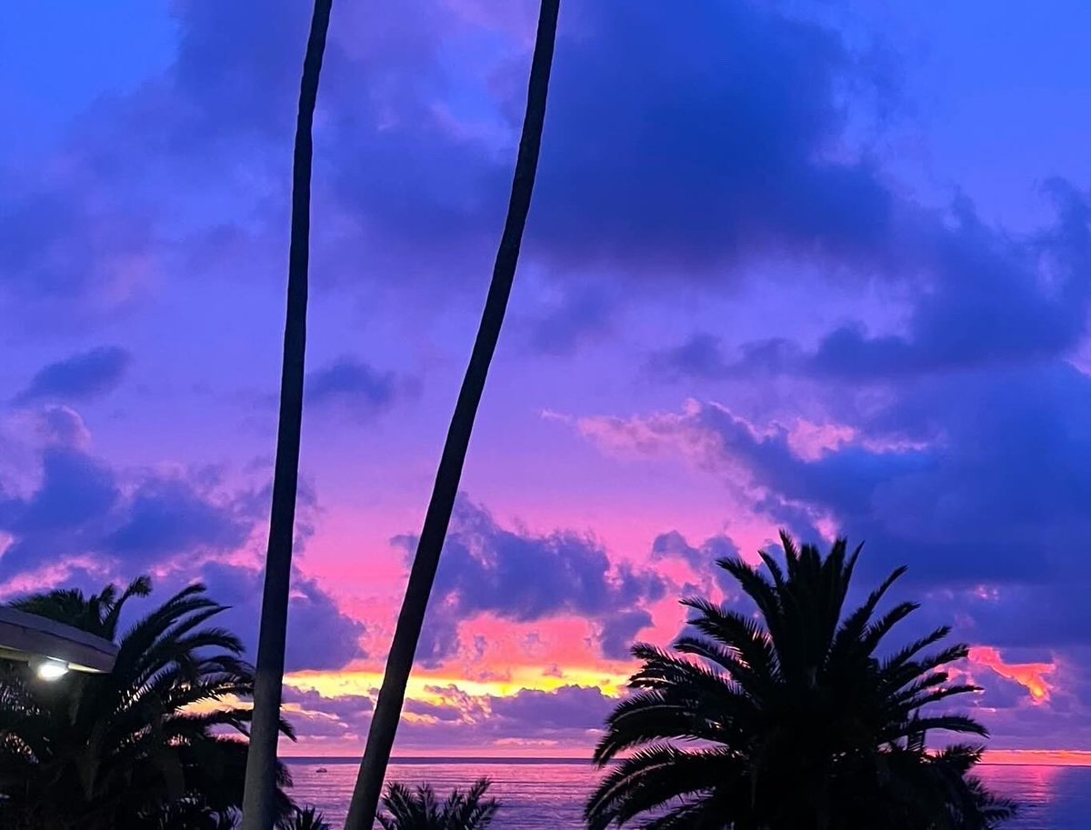 guerillafilms's tweet photo. 💖✨sky was lit last night #santamonica #sunset https://t.co/zaW0M2jjfz