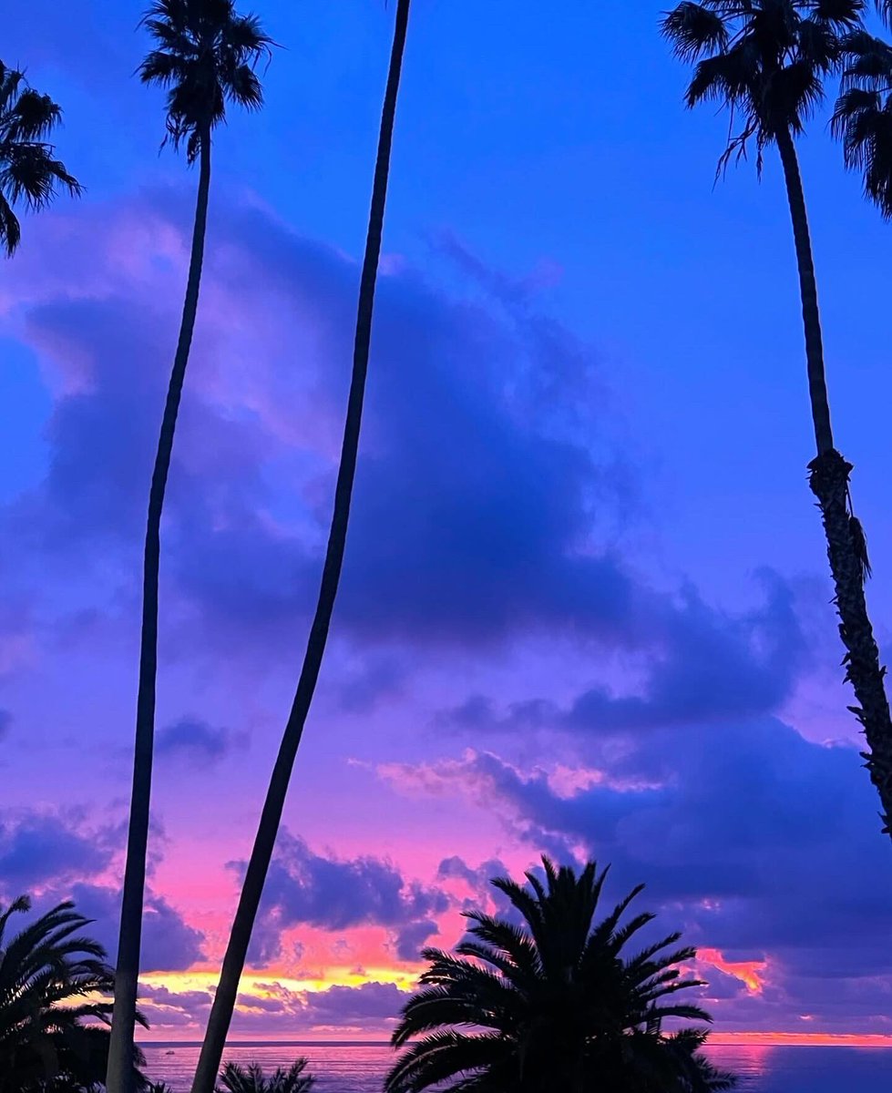 guerillafilms's tweet photo. 💖✨sky was lit last night #santamonica #sunset https://t.co/zaW0M2jjfz