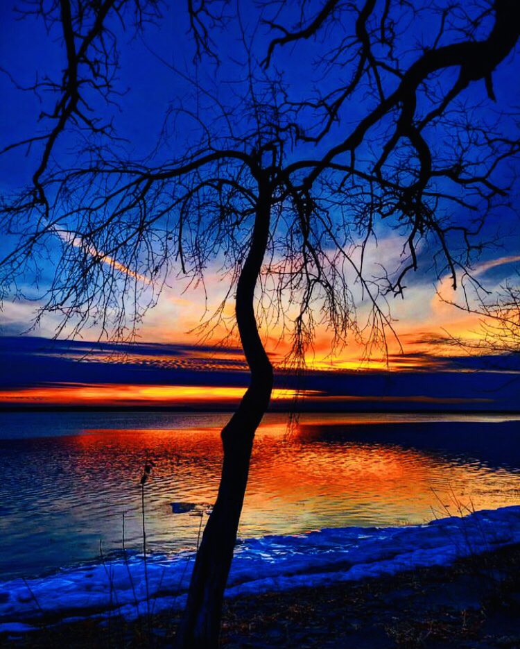 UllaMaijaMaatta's tweet photo. @KM88334862 Good evening/night 🧡💙💫💫💫
#moon_skycloudsunset #myottawa https://t.co/1MzJoVjXpl