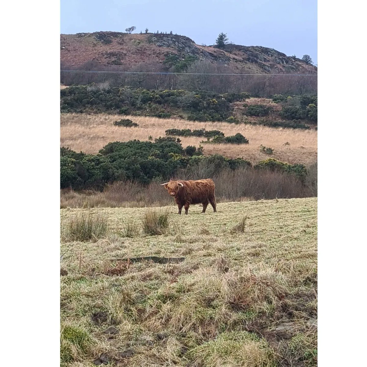 Hogmanay 🏴󠁧󠁢󠁳󠁣󠁴󠁿 Alot more VitSea &amp; VitD than expected for a Scottish January 🌊🌤
#backhomefortheweek #islandlife #newyearsdook #weehighlandcoo