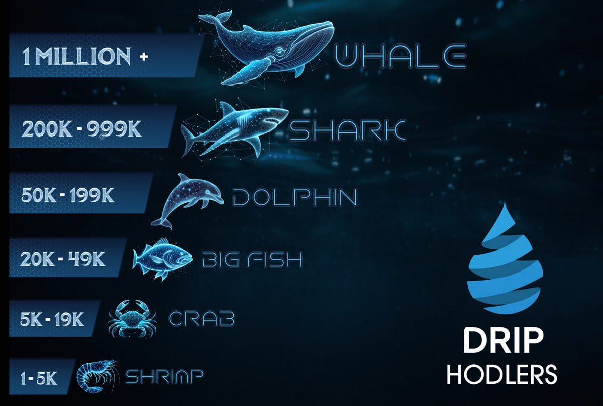 The next chapter for $DRIP is about to begin....are YOU ready? 💧💎✨