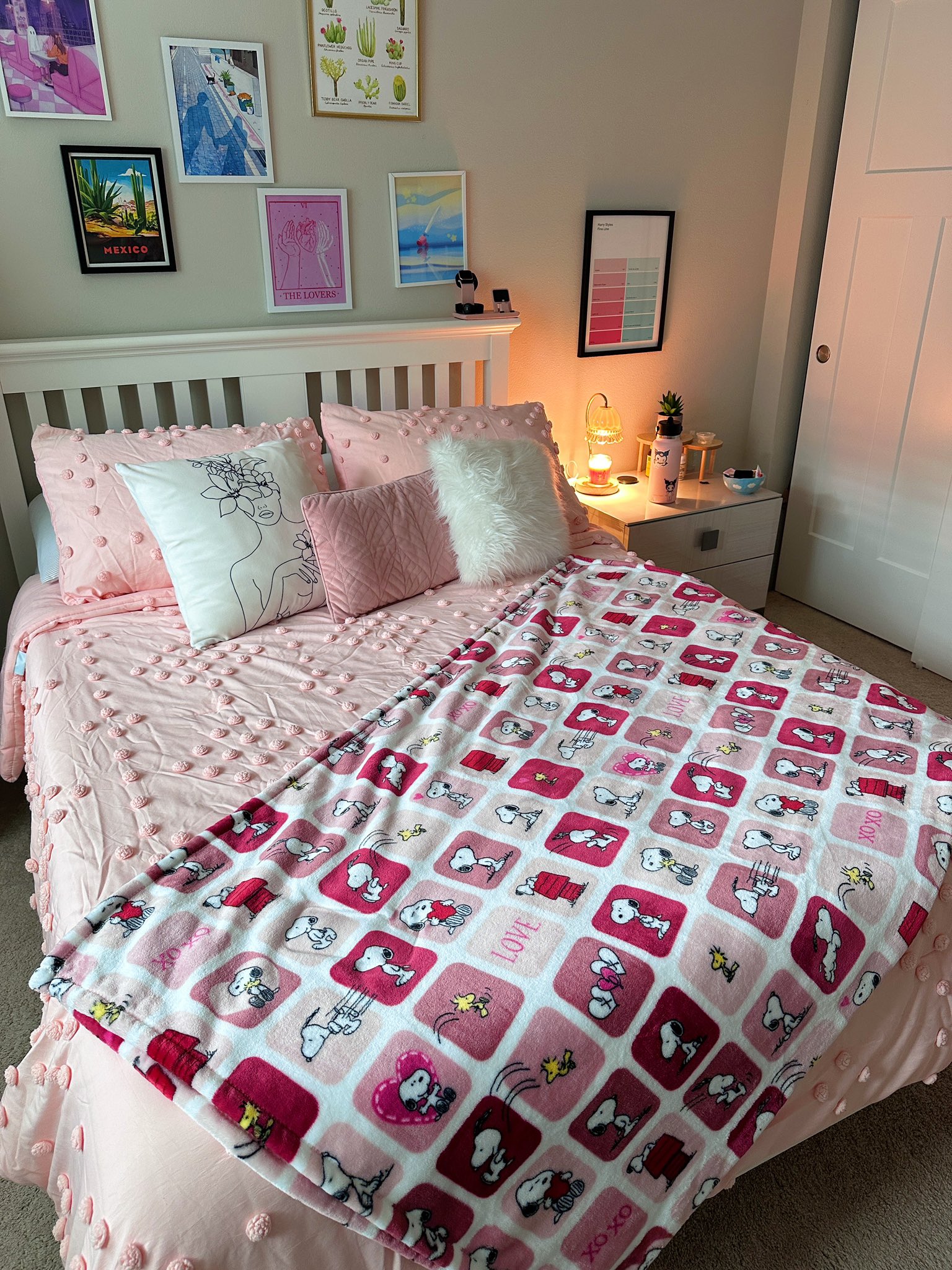 Snoopy blanket homegoods hotsell