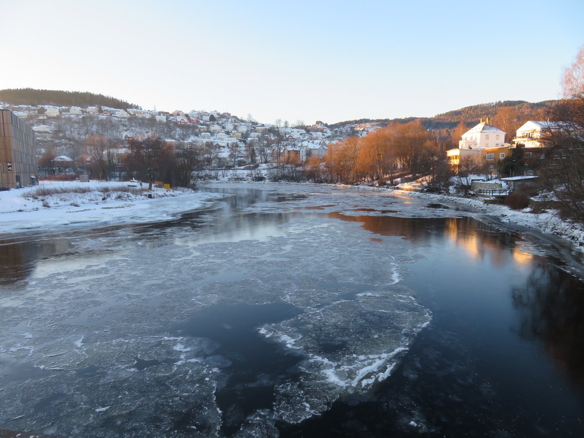 Jan Süselbeck tweet media