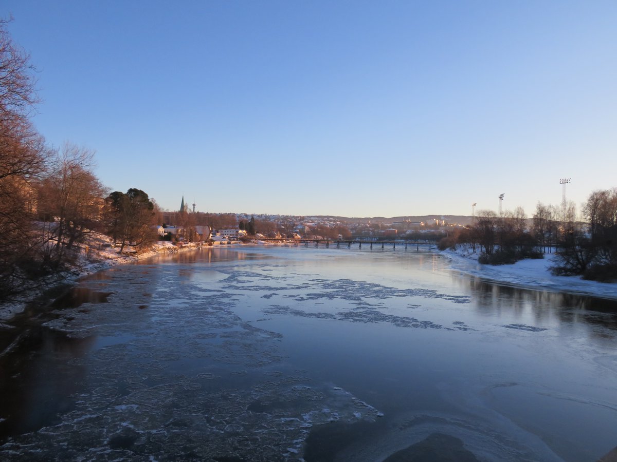 Jan Süselbeck tweet media