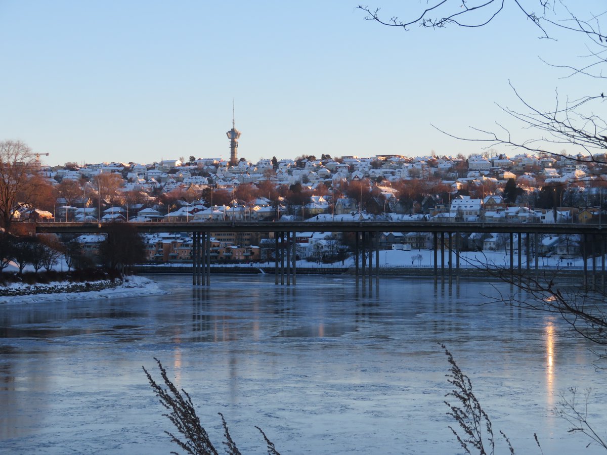 Jan Süselbeck tweet media