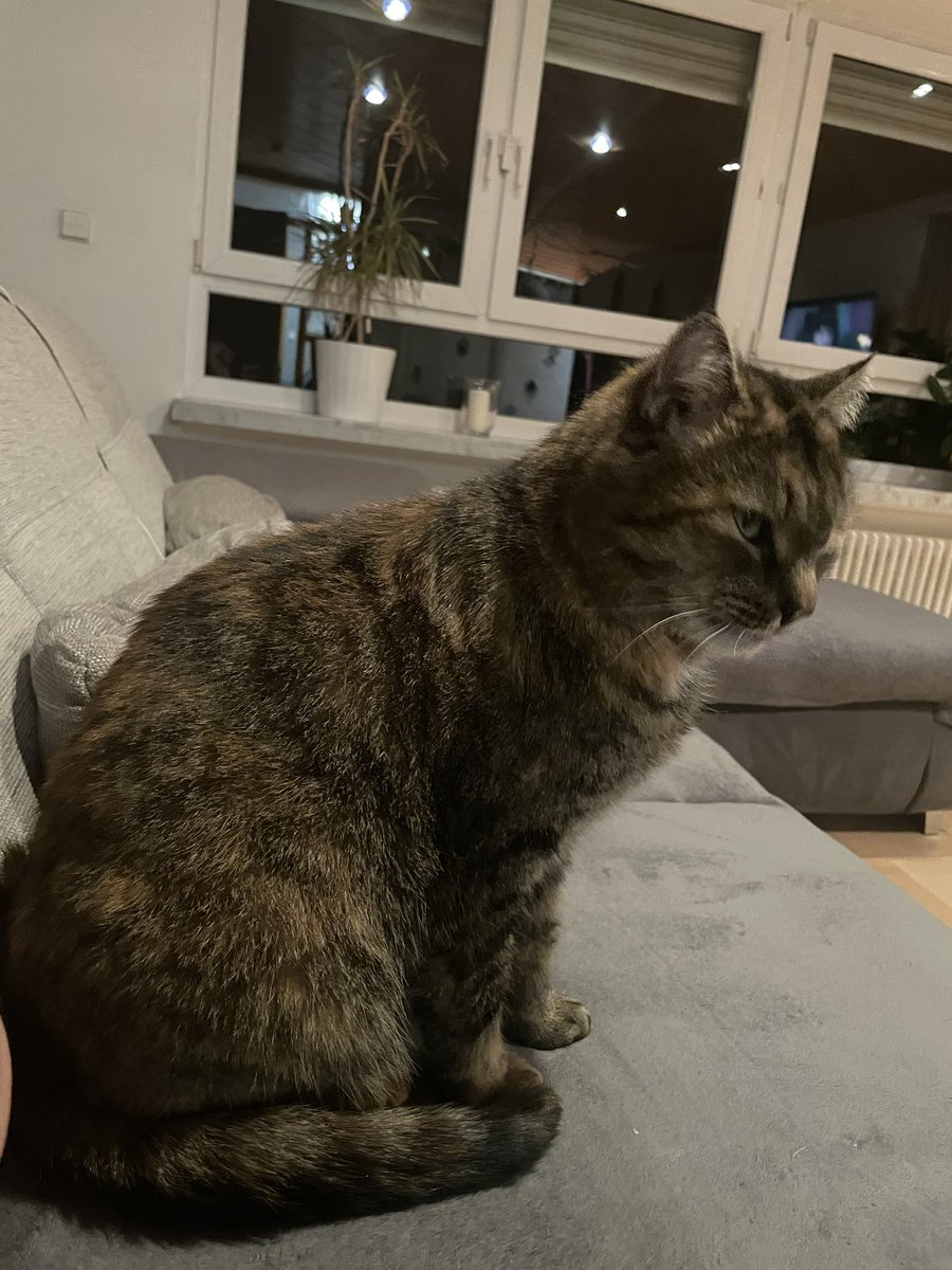 Schönen Abend euch🤗🙏😇