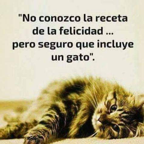 AnnerysElena's tweet photo. #7Ene a mi Negra https://t.co/pHdMeJcXpc