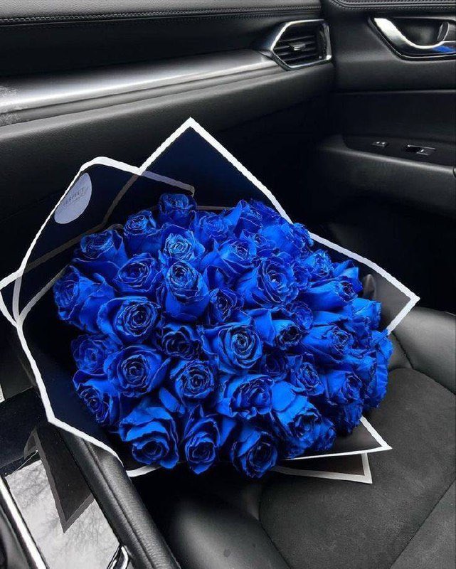 Blue roses 💙