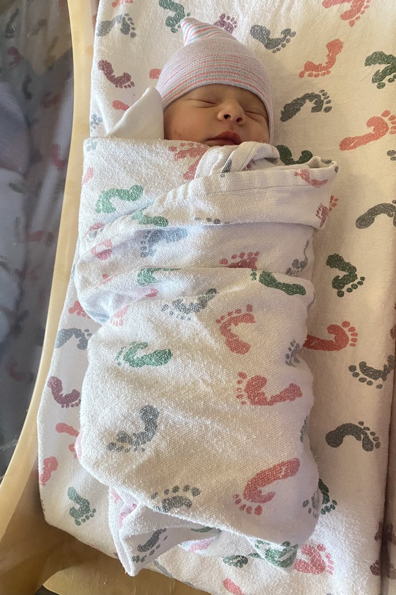 Angelica Peebles tweet media