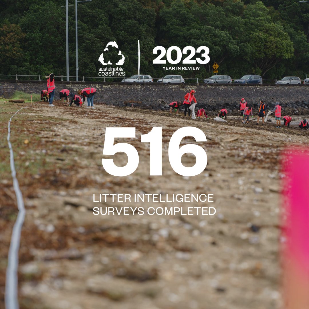 sustaincoasts's tweet photo. Thanks to you, 516 litter surveys and audits took place around Aotearoa New Zealand and the Pacific in 2023, each contributing valuable data to the Litter Intelligence national database ✌

#teamwork #litterintelligence #beatplasticpollution #volunteer #beachcleanup #ocean https://t.co/A9E5ANtlCU
