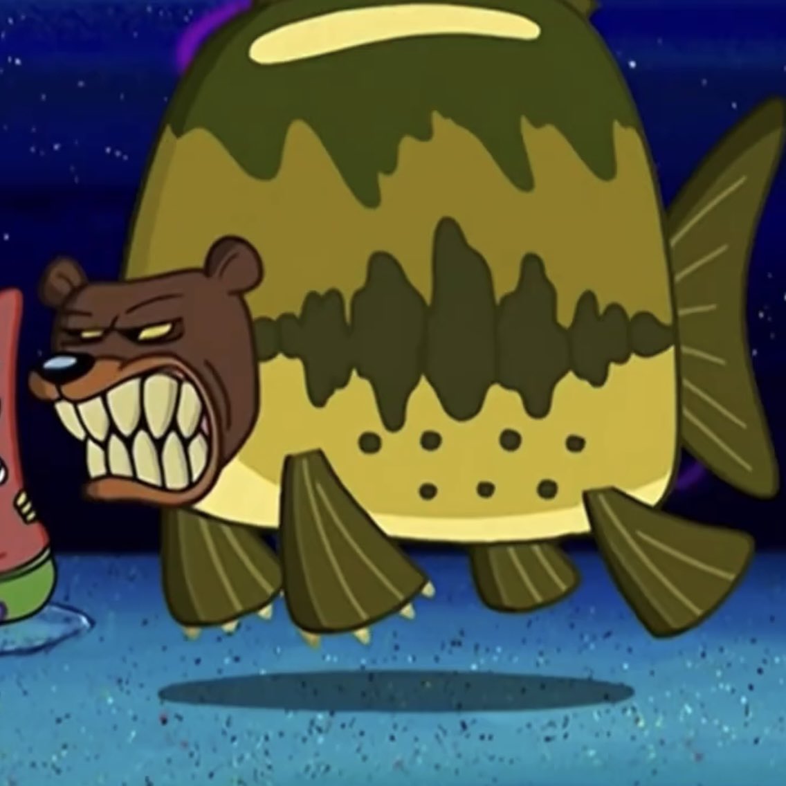 go seahawks, go bears - go SeaBears