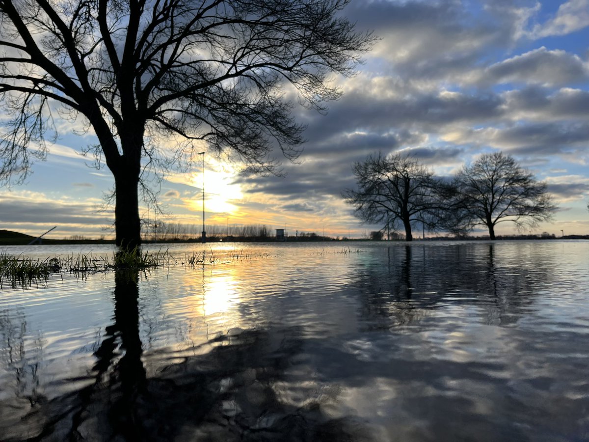 Hoogwater in de Nederrijn #hoogwater