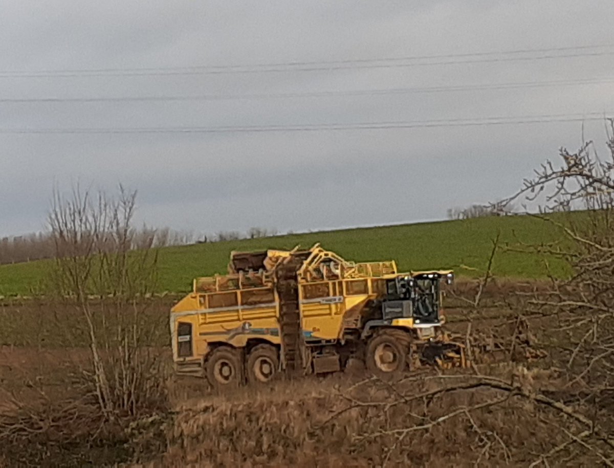PNempont's tweet photo. Enfin un jour sans #pluie, BV #Canche pour sauver les @_MissBetter avant le #gel. Grâce aux #fascines et au travail du sol, la parcelle n'a entraîné aucune coulée boue dans village en contrebas. #Bonsenspaysan @chambagri_hdf @FDSEA62 @AgenceEau @pasdecalais62 Soutien sinistrés. https://t.co/5lX1UKV2LE