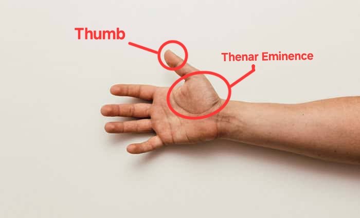 OAswinJKumarO's tweet photo. @durreadan01 @sondesix 2 Questions:-

Q1. How much force is required to press the Volume/Power button on iPhone using your Thumb vs your Thenar Eminence?

Q2. If the "Rumored" shutter button requires the same force as the other two buttons. Then How much force are you giving to your Thenar Eminence? https://t.co/GLxJMg1SpN