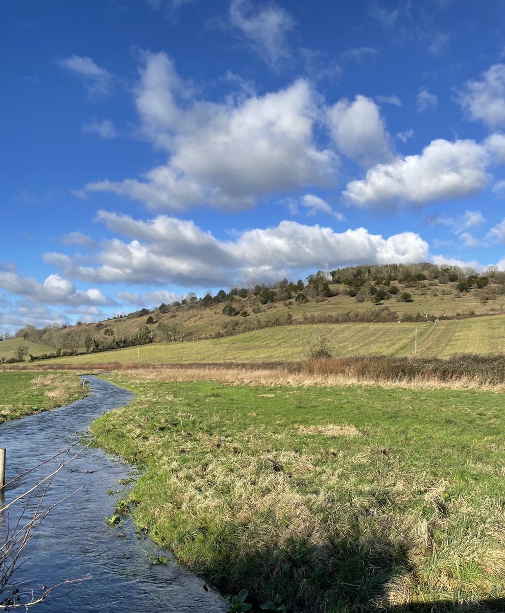 EmmaCameron9's tweet photo. Beautiful day at #LevinDown nature reserve, my favourite place on the South Downs. Lots of hazel catkins and even spotted a goshawk though no photo. ⁦⁦@SussexWildlife⁩ ⁦@sdnpa⁩ #SouthDowns https://t.co/TOAs02i1CM