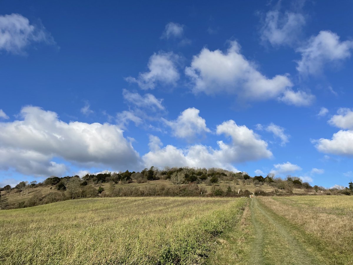 EmmaCameron9's tweet photo. Beautiful day at #LevinDown nature reserve, my favourite place on the South Downs. Lots of hazel catkins and even spotted a goshawk though no photo. ⁦⁦@SussexWildlife⁩ ⁦@sdnpa⁩ #SouthDowns https://t.co/TOAs02i1CM