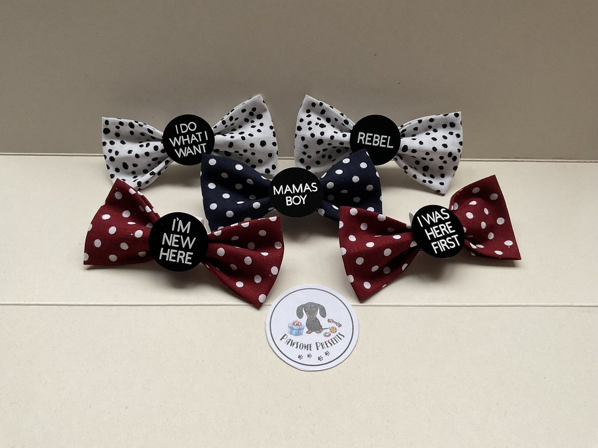 Ellen_Snook's tweet photo. https://t.co/VGz5tqLdgO

New little gift shop for your best furry friends 🐾 https://t.co/f0oRPd8Hlh