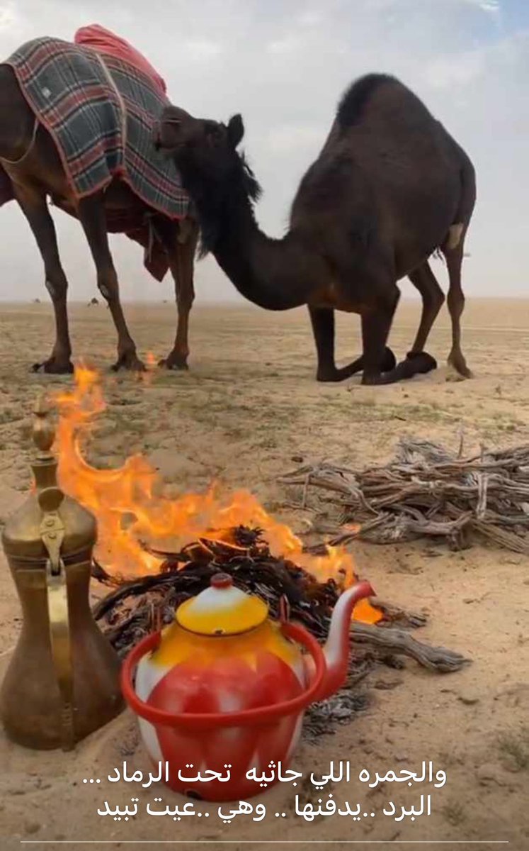 سلطان المطيري (@sm_2017) on Twitter photo 