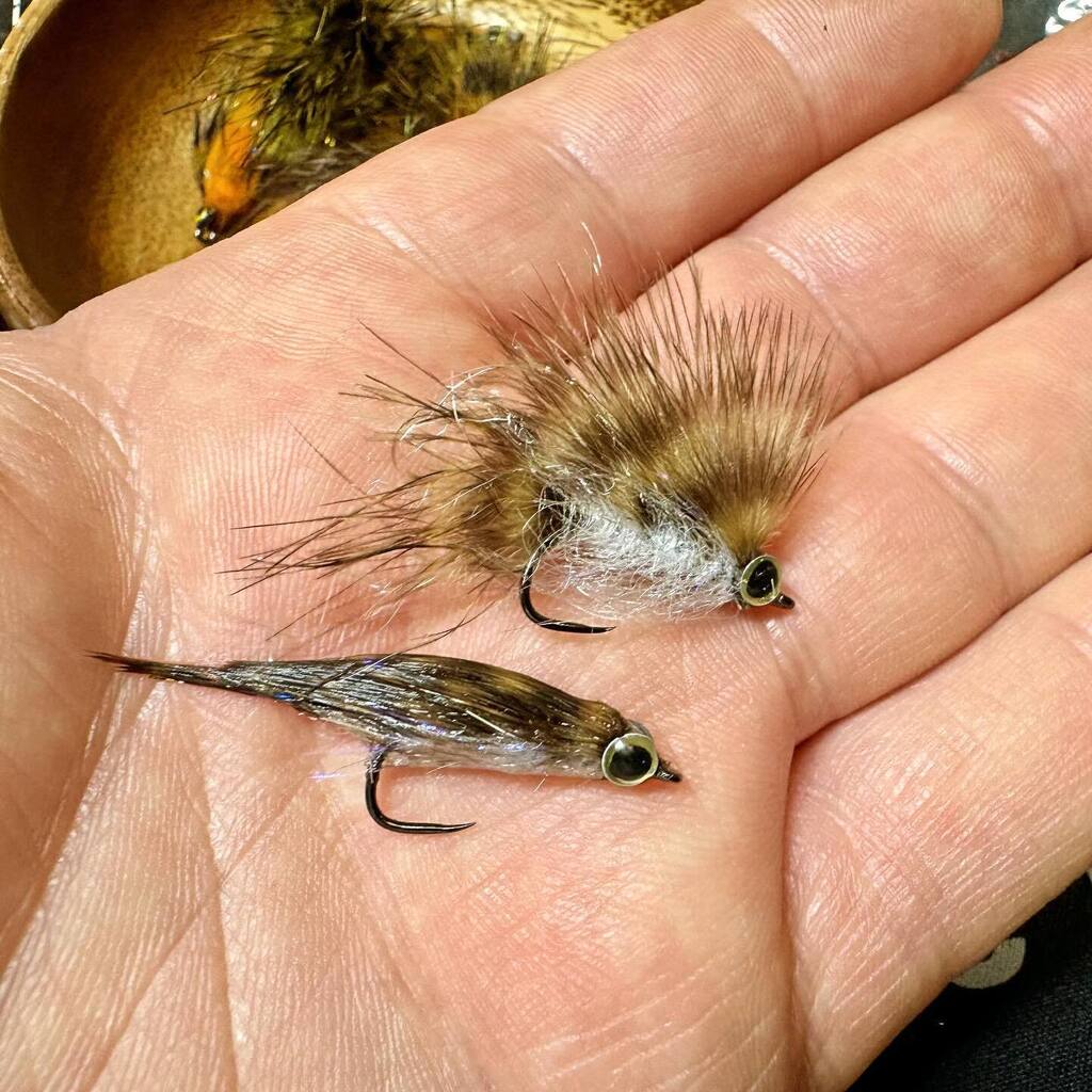 Panfishonthefly's tweet image. Dry verses Wet.  The simple combination of chickbou and Semperfli Scud Dubbing for a killer little panfish streamer. #panfishonthefly #flytying #streamerfly #flyfishing instagr.am/p/C1zgQwBrecZ/