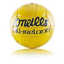 GAA Game Day Journal tweet media