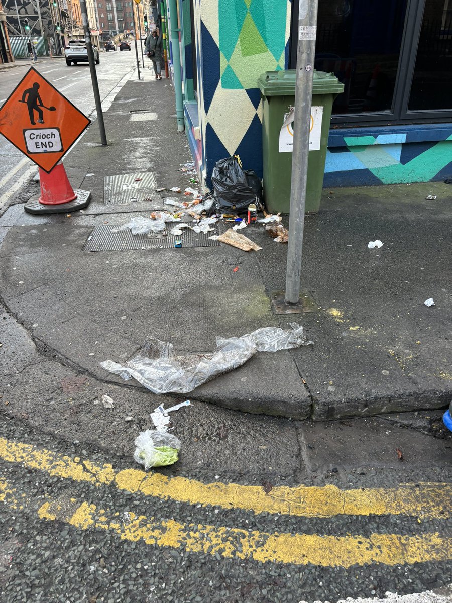 Went for a walk with the dog around D7 and illegal dumping is definitely getting worse with every passing day. Any current or potential DCC councillors got any solutions?