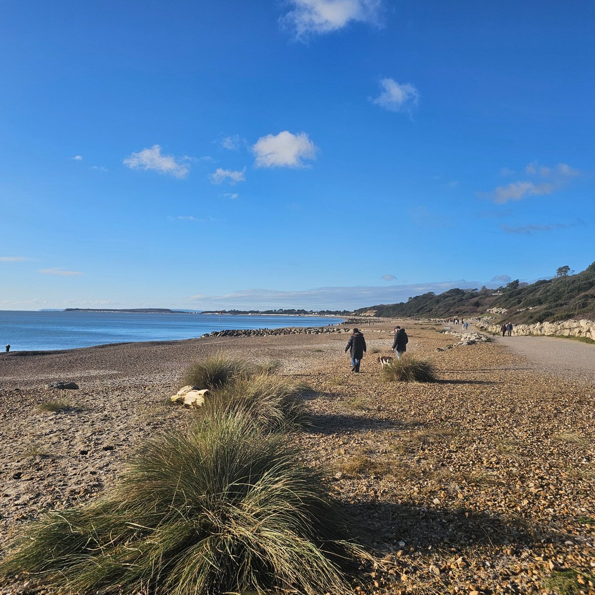 HighcliffeBeachClean tweet media