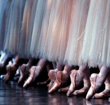 #OFF: 𝓣ʜᴇ 𝓟ʀᴏʟᴏɢᴜᴇ tweet media