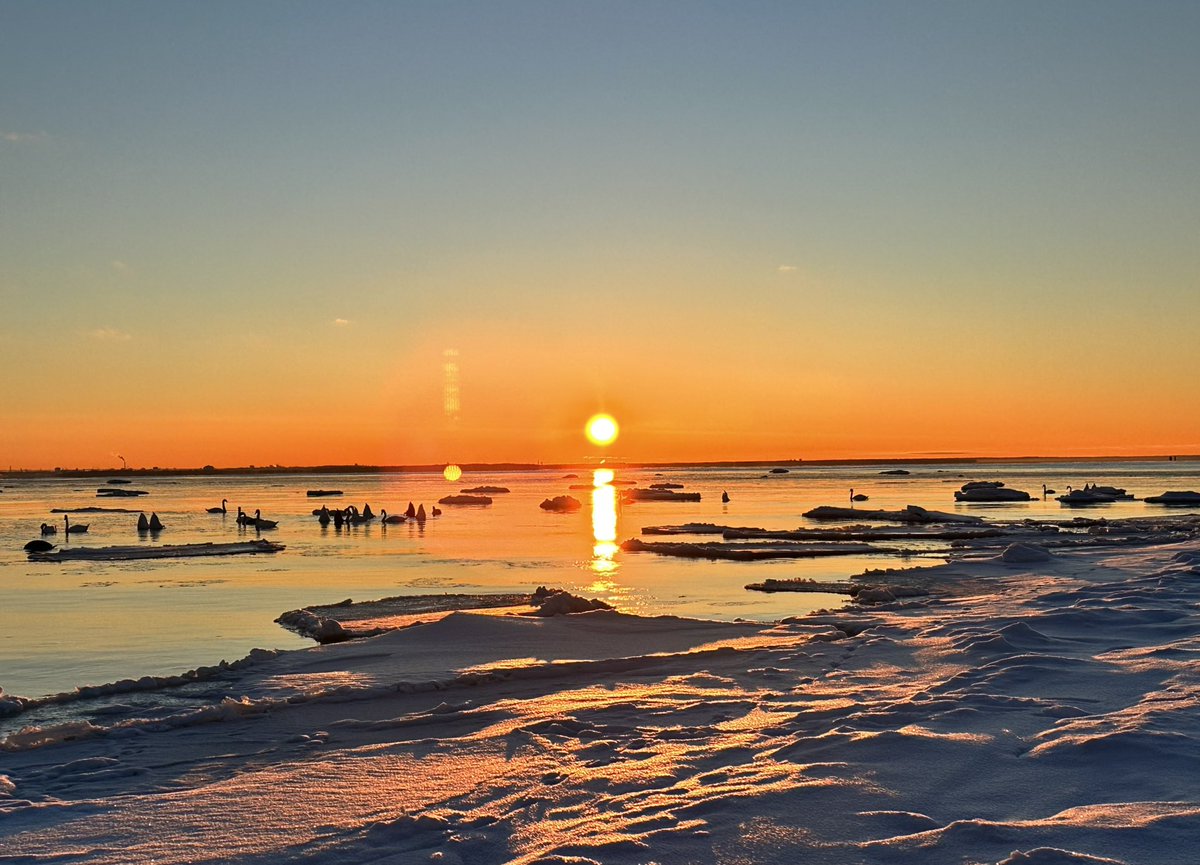 RaMurmoka's tweet photo. Pandju islet at sunset. Only a few km away from Tallinn but  what an otherworldly feel tonight! #pandjusaar #sunsetcolours #sunset #wintercolours #balticsea https://t.co/vuCf7qRycD