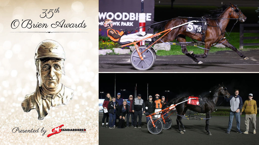 From ignored on an online sale board one year ago to recognized as one of the nation's best. It's been quite a year for Arthur Rey and 2023 O'Brien Award finalist Emmetts Buddy → bit.ly/3tysdpG #harnessracing