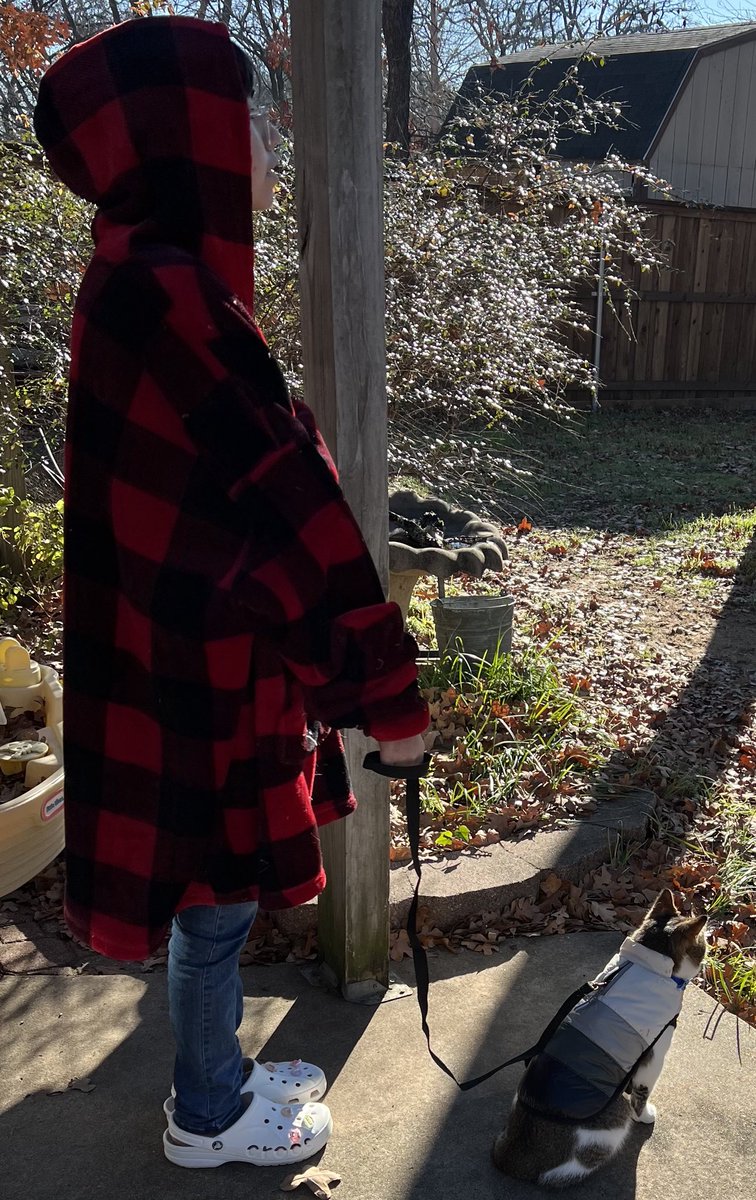 BabyCatRibzeBay's tweet image. Baby meow’s first time in the country at Nana’s house! He’s doing so good on his harness. First time ever wearing one. We found him when he was a kitten living inside the drain ditch in front of our house. #outsidecat #cats #kittens #catsinclothes #nature #walk