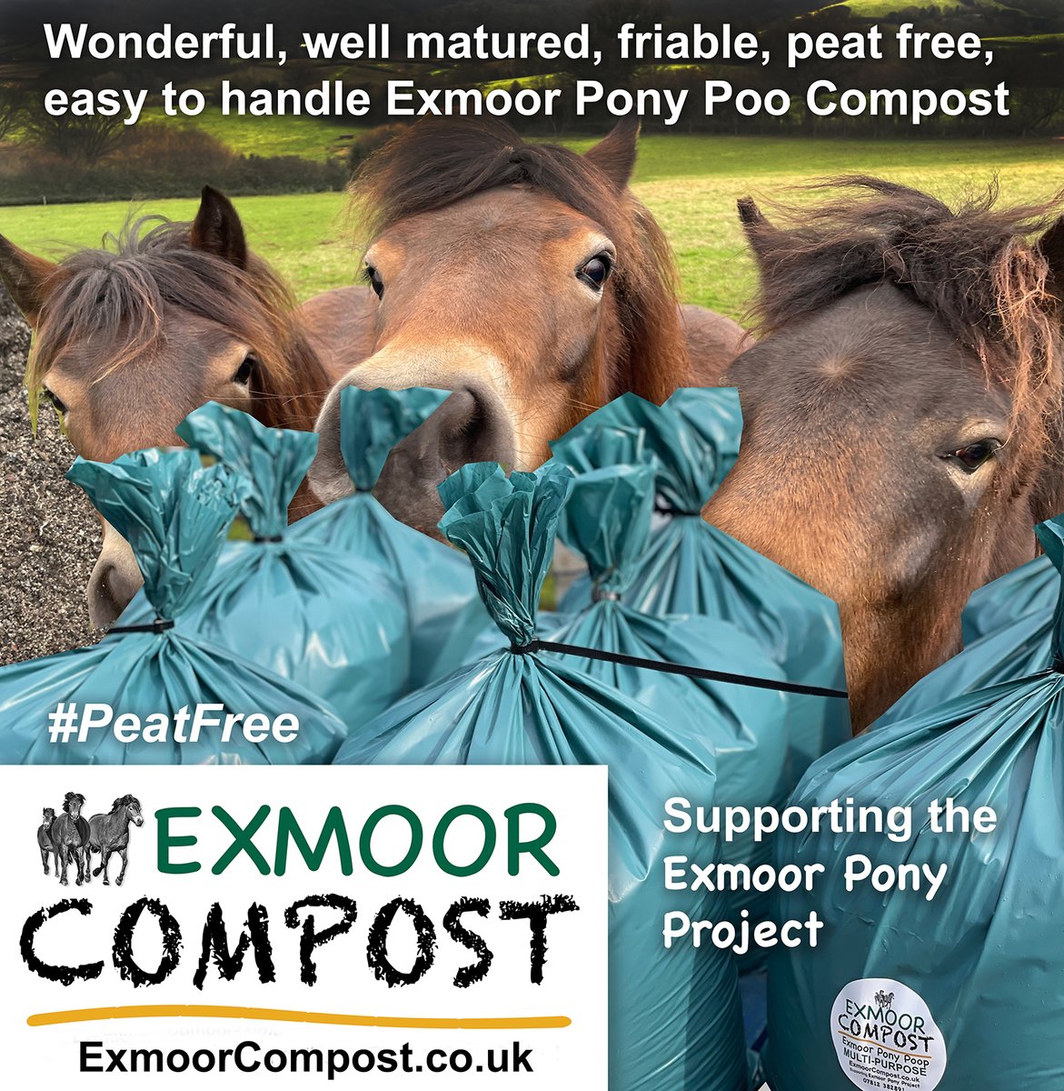 Exmoor Compost (@exmoorcompost) on Twitter photo We have a good supply of wonderful, very well-matured, #peatfree, multi-purpose #compost, produced by & supporting the #ExmoorPonyProject herd π More info at wildponywhispering.co.uk/ExmoorCompost
<a href="/ExmoorNP/">Exmoor National Park</a> <a href="/RuralEntExmoor/">RuralEnterpriseExmoor</a> <a href="/ExmoorSociety/">The Exmoor Society</a> We have a good supply of wonderful, very well-matured, #peatfree, multi-purpose #compost, produced by & supporting the #ExmoorPonyProject herd π More info at wildponywhispering.co.uk/ExmoorCompost
<a href="/ExmoorNP/">Exmoor National Park</a> <a href="/RuralEntExmoor/">RuralEnterpriseExmoor</a> <a href="/ExmoorSociety/">The Exmoor Society</a>