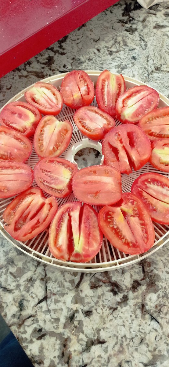 JessicaCarosi's tweet photo. Un antes y después de la deshidratación
#tomatessecos https://t.co/eIRjHBDxuk