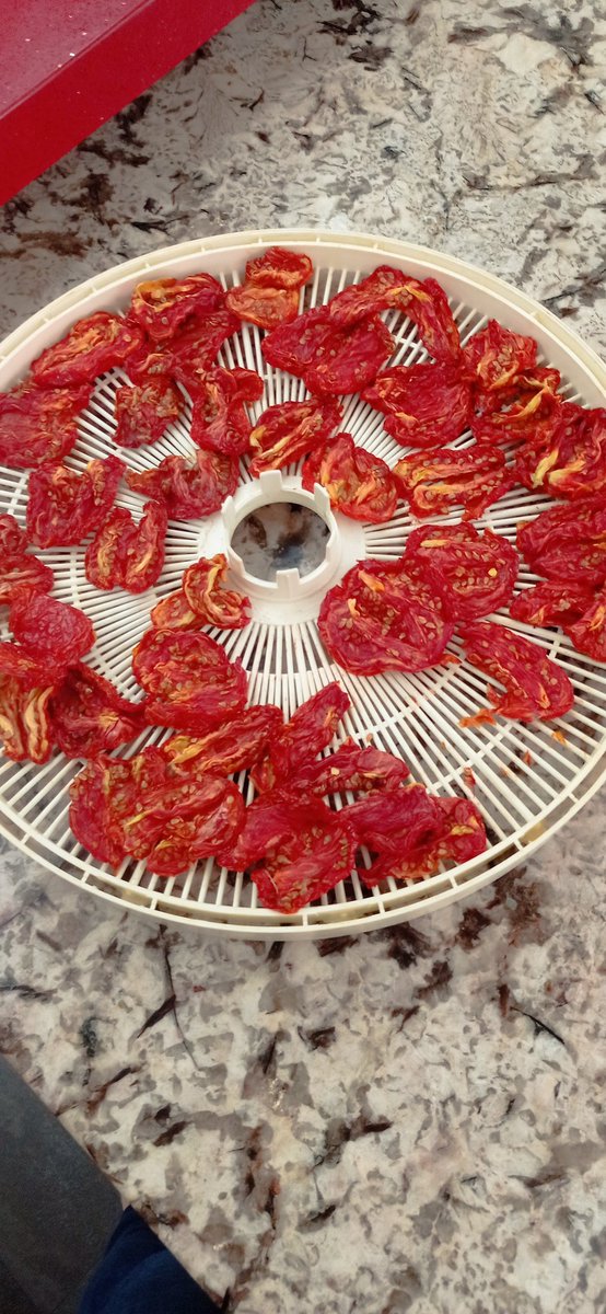 JessicaCarosi's tweet photo. Un antes y después de la deshidratación
#tomatessecos https://t.co/eIRjHBDxuk