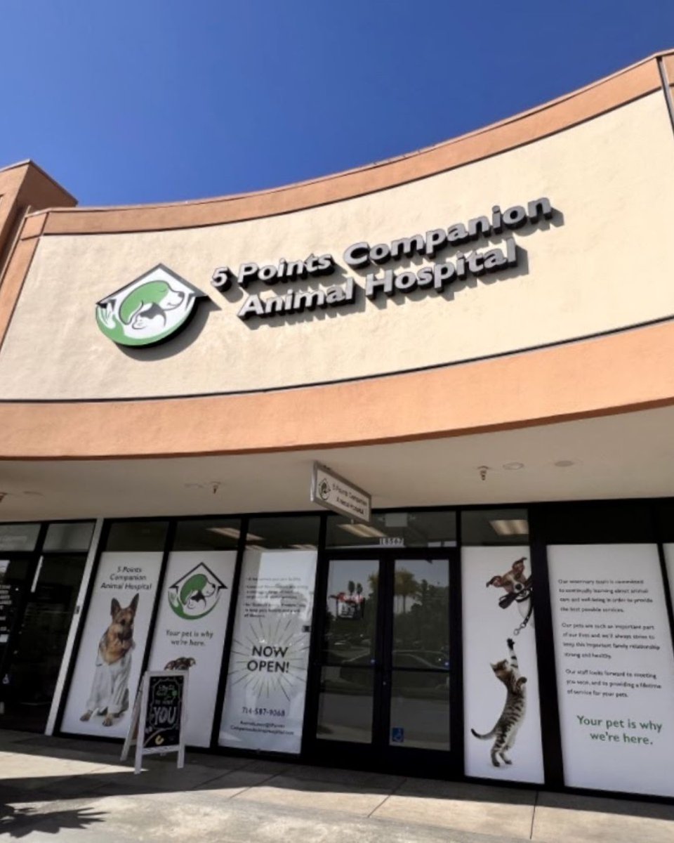 5PointsPlazaHB's tweet photo. Start the year off right by prioritizing your furry friends' health! Book an appointment today for compassionate care. 🐶🐱
Direct #: (714) 587-9068
https://t.co/BQl6onF1Xx
Explore more at https://t.co/ZtjF5Fo8k1 https://t.co/YFlKEuDkt3