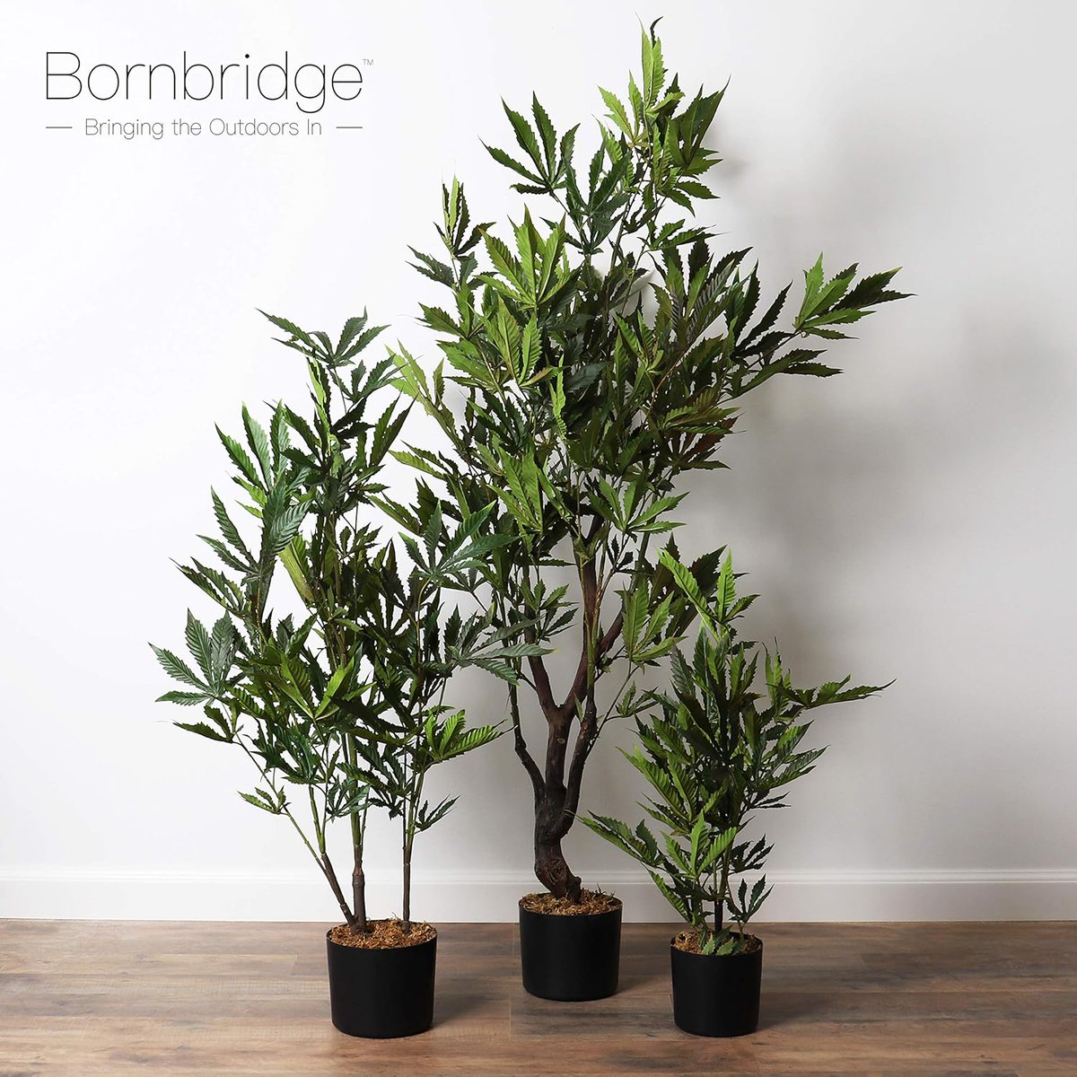 ratherneatstuff's tweet photo. Bornbridge Artificial Marijuana Plant

Bring a piece of nature into your home with the Bornbridge artificial pot leaf plant. Featuring a robust leaf weed plant in a black planter.

https://t.co/DOllwOuTX5
#ad https://t.co/jep5mJaNas