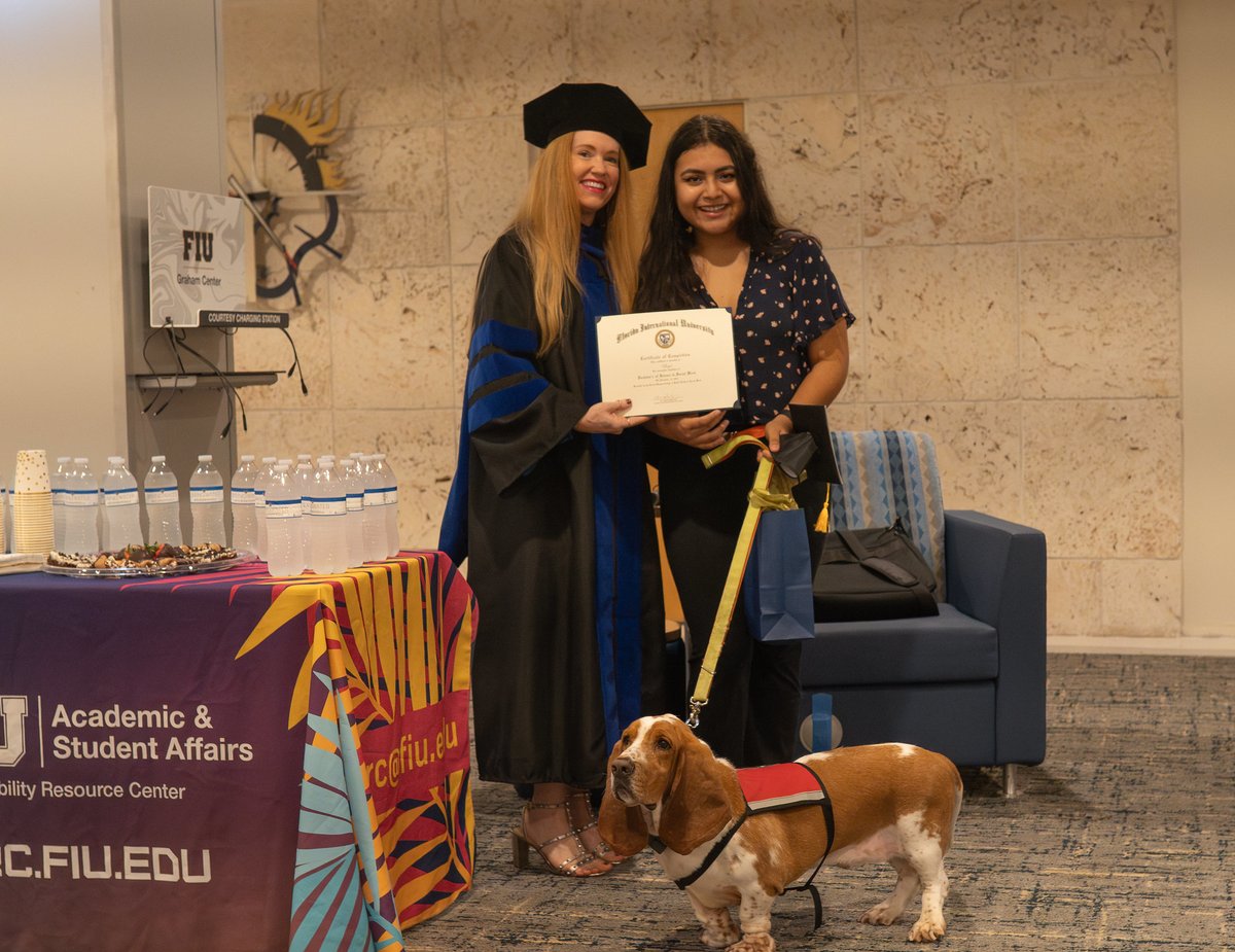 FIU's tweet photo. Meet Bagel The Bassett, a dedicated service dog to #FIUgrad, Christina Abanto. Bagel was recognized in a ceremony by FIU's Disability Resource Center, where he received an honorary degree 🎓 after becoming a beloved fixture in his owner's classes. He's a good boy indeed! 🐶 https://t.co/gxameWYfAT