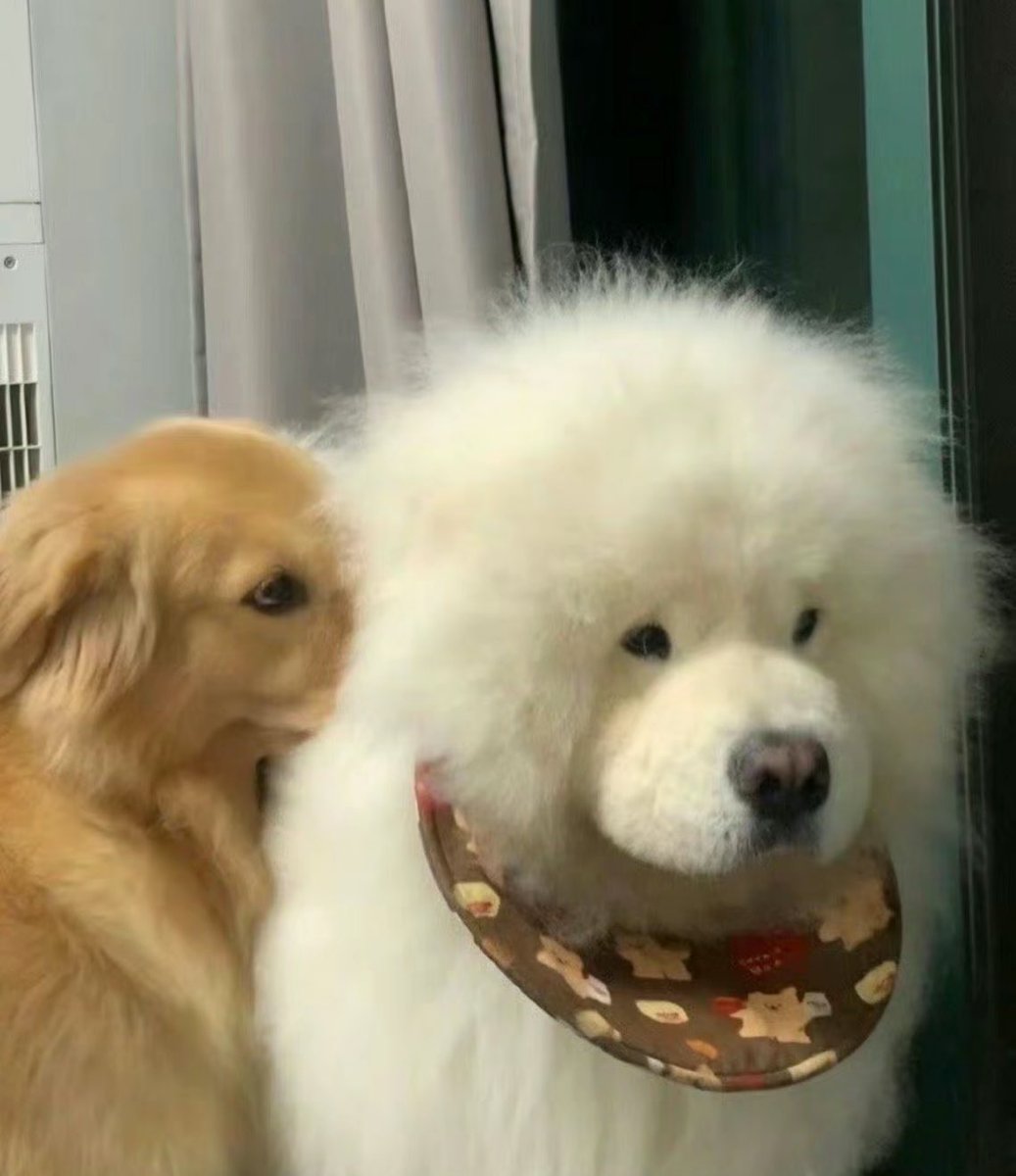 ขอหอมหน่อยจิ แก้มอยู่หนายอะ