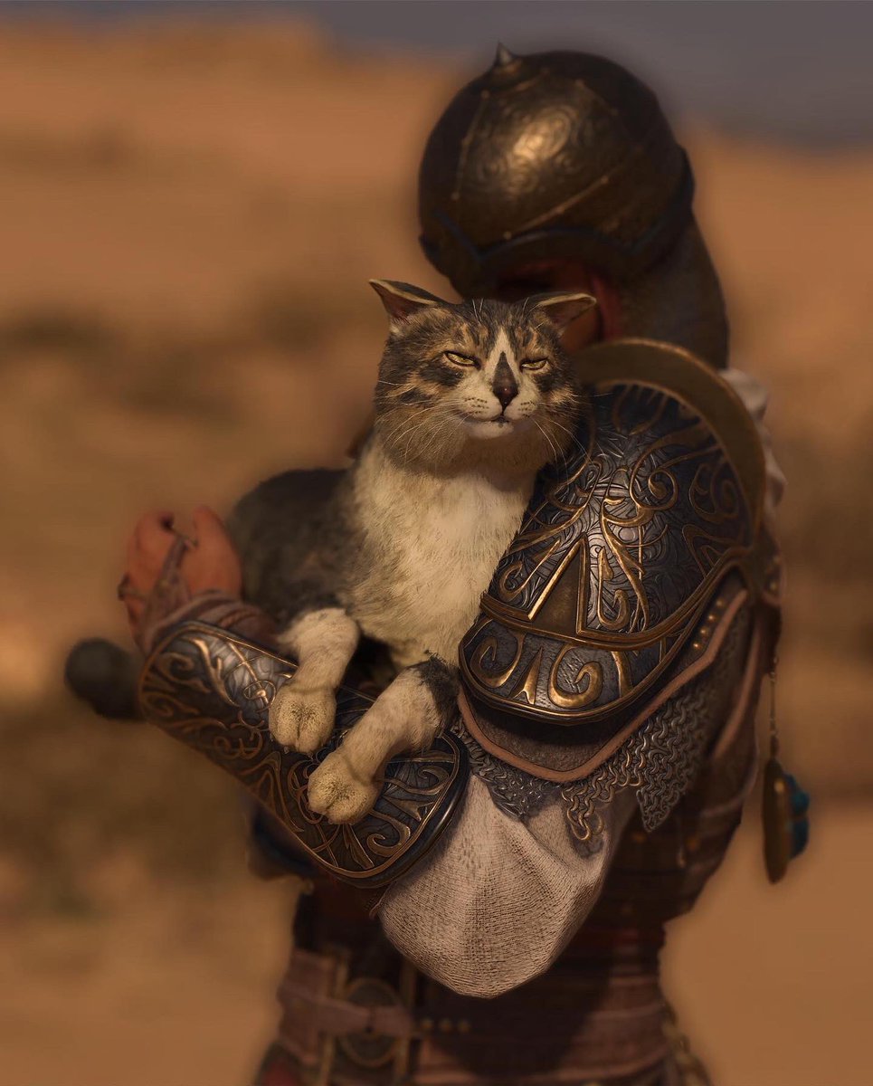 Xaineb1's tweet photo. Dear @assassinscreed @Ubisoft 

Stop making your games so distracting!! 😡 I’m struggling to focus on the story missions with all the beauty from design, language and architecture! https://t.co/hb48hBSClO