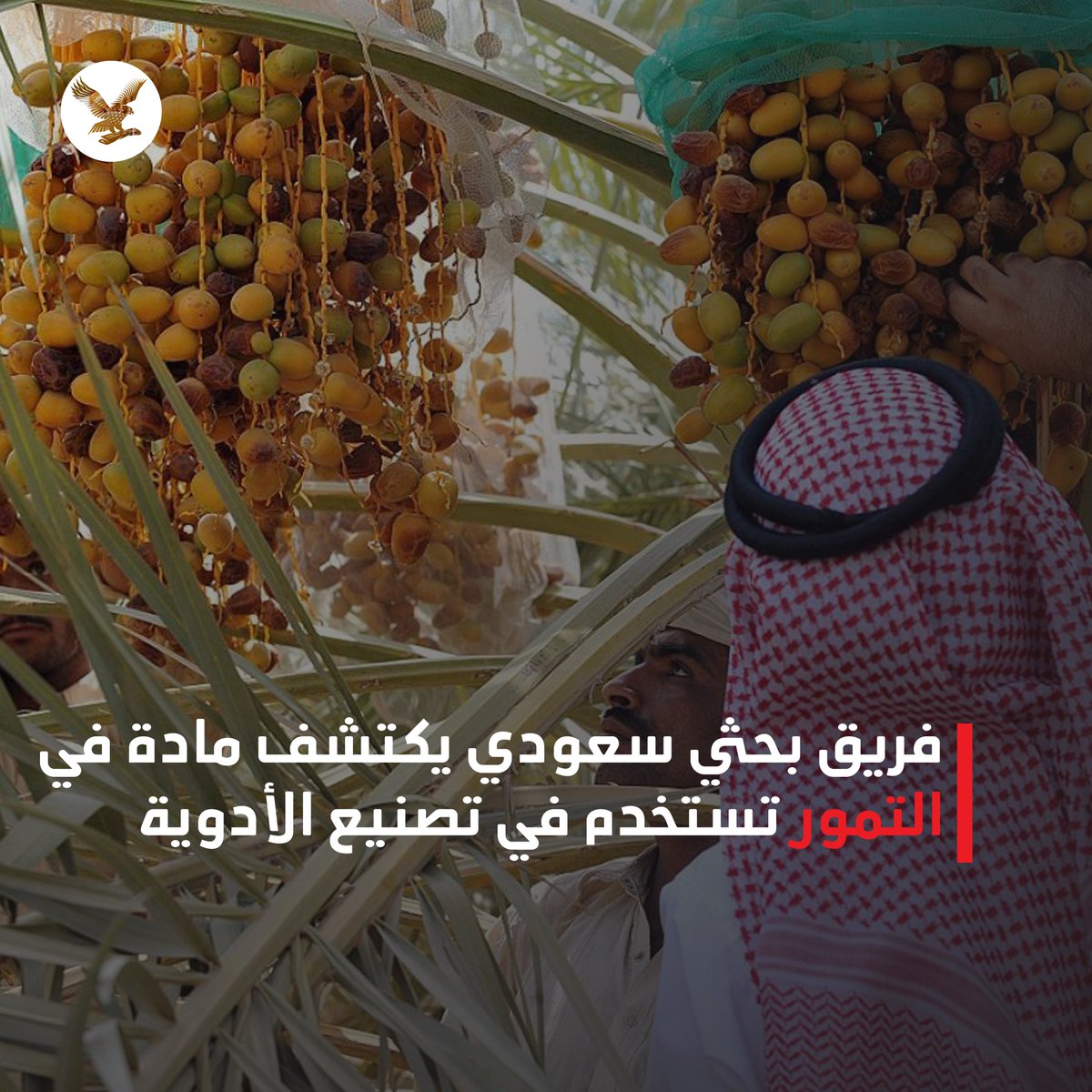 اندبندنت عربية tweet media